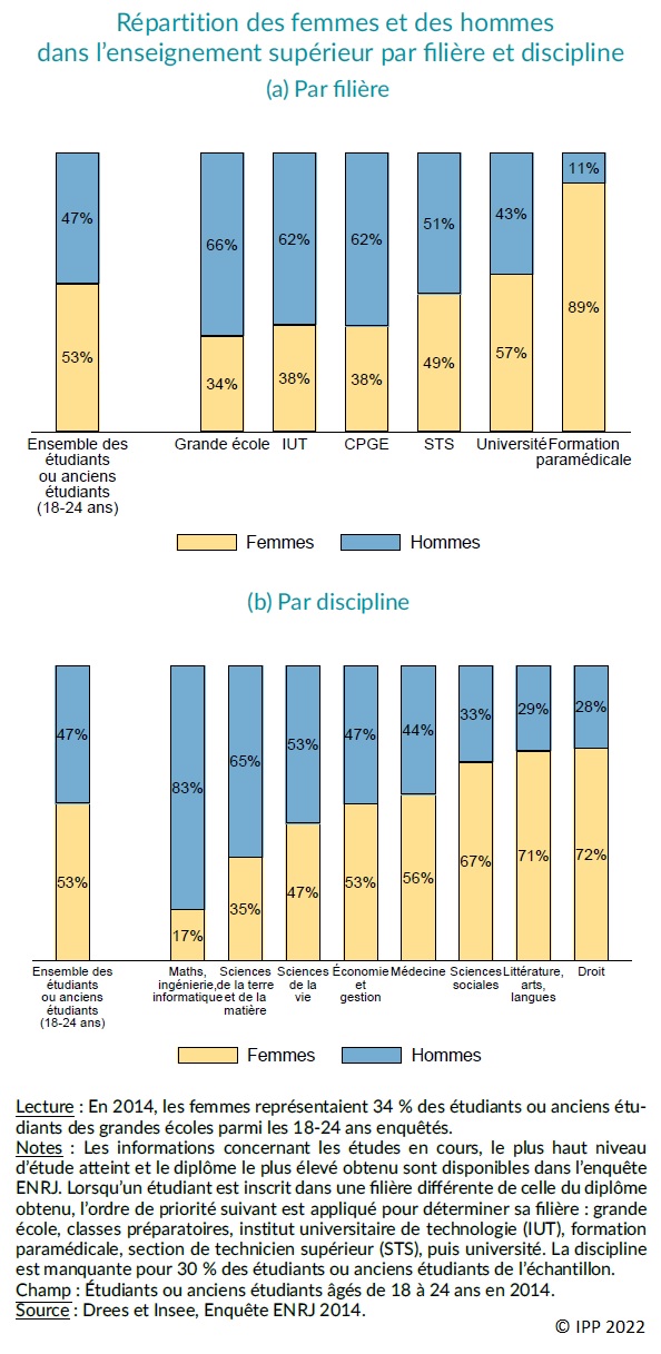 Graphique : Répartition des femmes et des hommes dans l'enseignement supérieur par filière et discipline