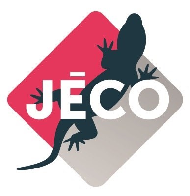 Atelier DGESCO à destination des enseignants