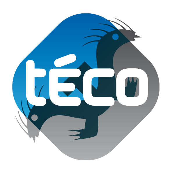 logo de Téco