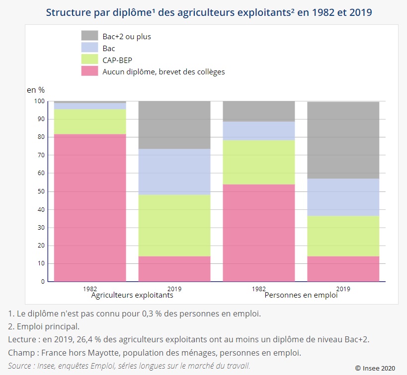 Graphique : Structure par diplôme des agriculteurs exploitants en 1982 et 2019